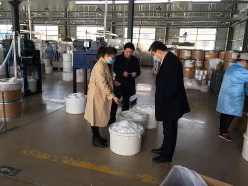 人大代表助力企業疫路小跑，板湖鎮技術交流促發展