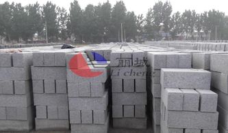 嘉興麗臣塑業 水泥制品模具注塑加工與成品施工技術深度解析